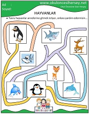 Yavruları Annelerine Götür